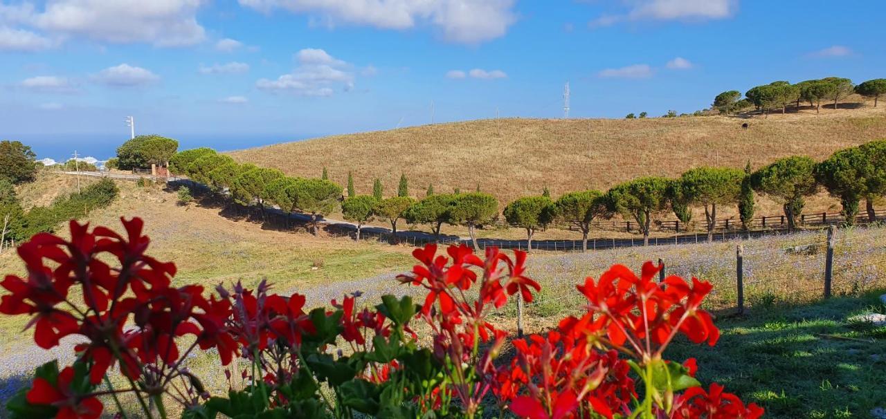 Hotel Tenuta Dell'Argento Resort Civitavecchia Exterior photo